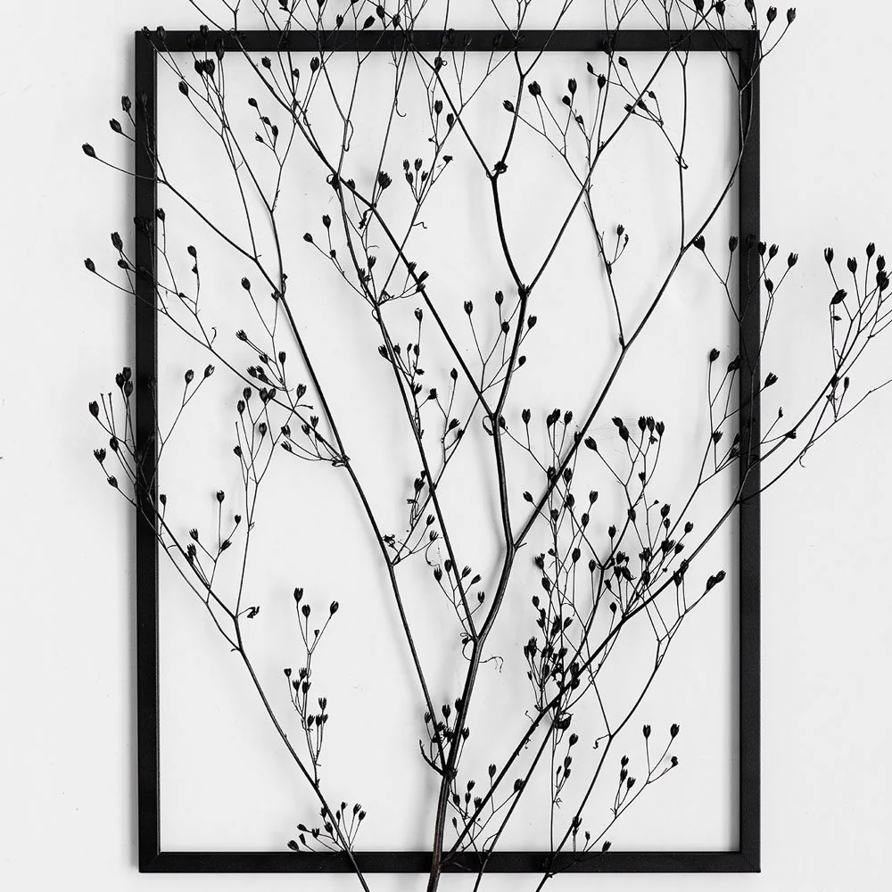 MOEBE Frame, Black Powder Coat – 6 Sizes - Image 3