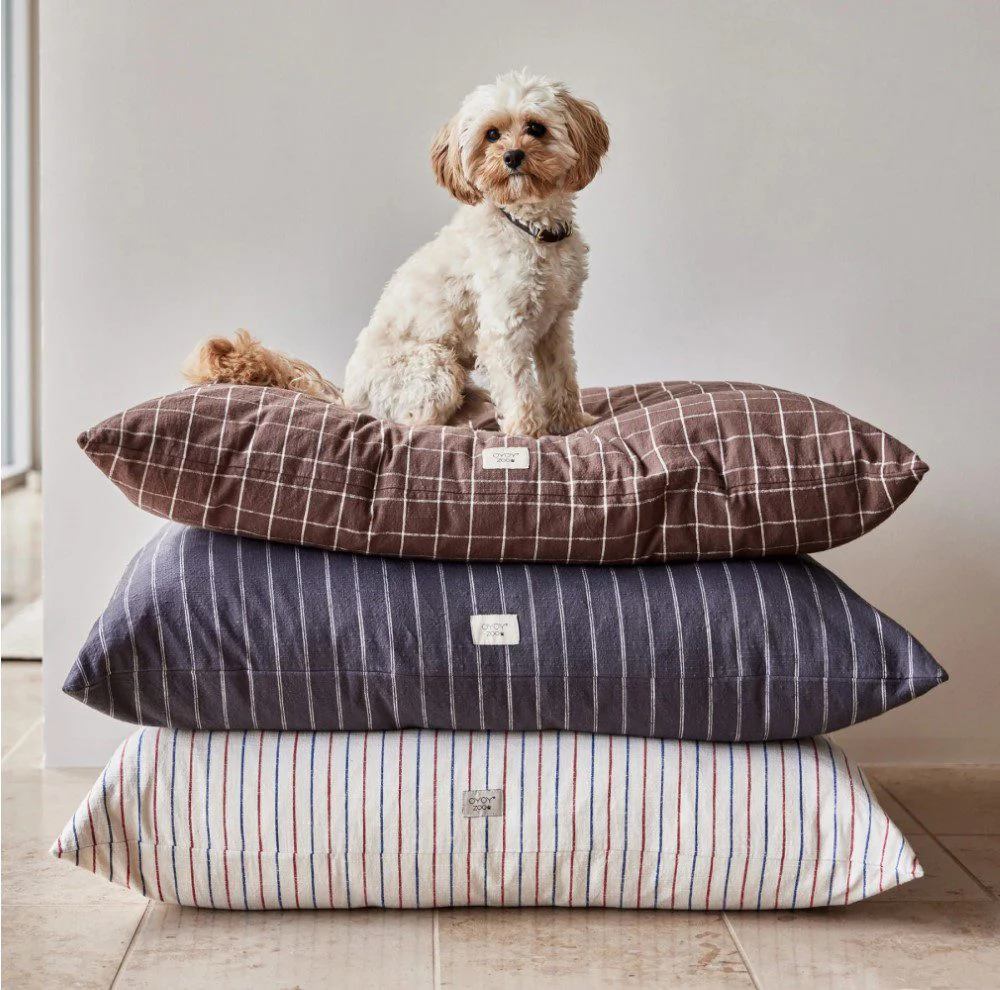 OYOY ZOO Kyoto Dog Cushion, Choc (3 Sizes) - Image 7